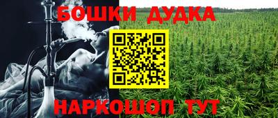ГАЛЛЮЦИНОГЕННЫЕ ГРИБЫ Волжский