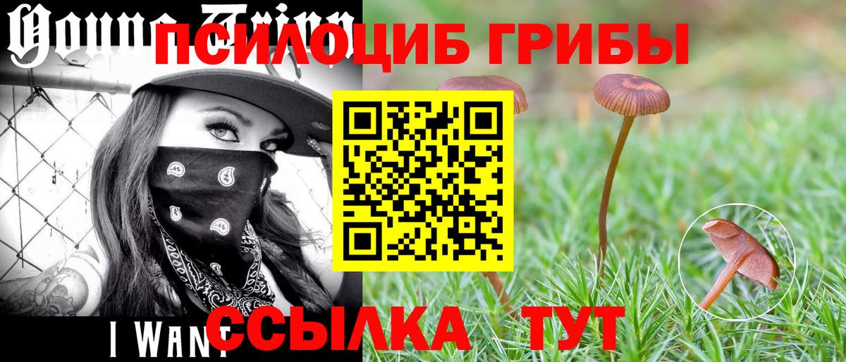 Менделеевск  Псилоцибиновые грибы прущие грибы  где продают   Вход с VPN 
